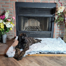 Load image into Gallery viewer, Soft-Cloud Rug™